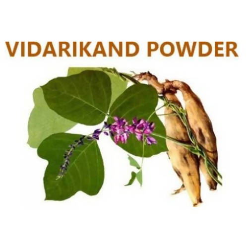 Himalaya Vidarikand Powder(-100 gm) image 3