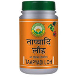 Basic Ayurveda Taapyadi Loh Tablet - 40 Tablets image 1