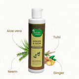 Mother Sparsh Ginger & Neem Anti-Dandruff Hair Cleanser image 2