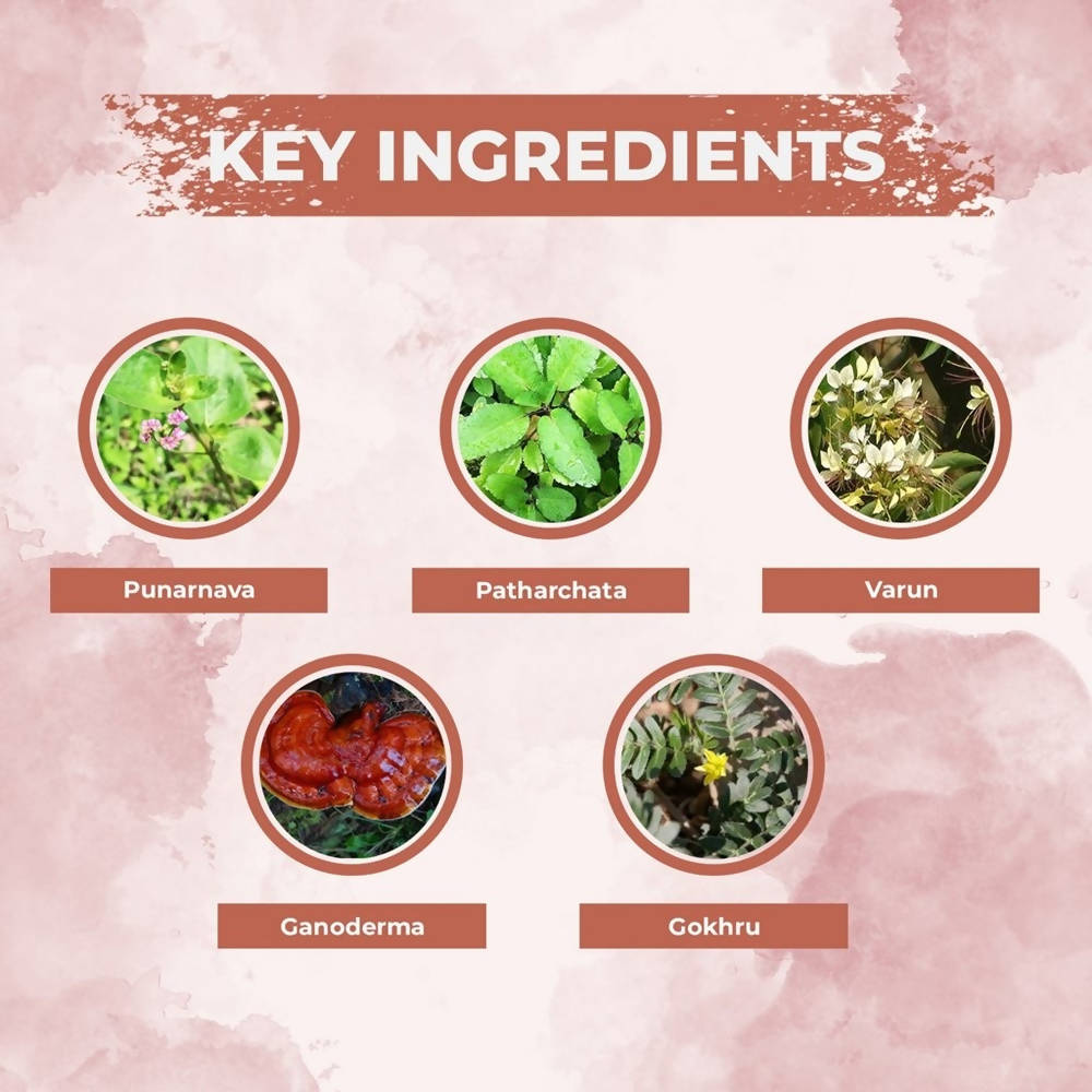 Ae Naturals Kidney Care Capsules image 2