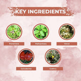 Ae Naturals Kidney Care Capsules image 2