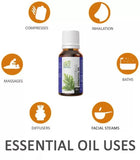 Ae Naturals Citronella Essential Oil image 4