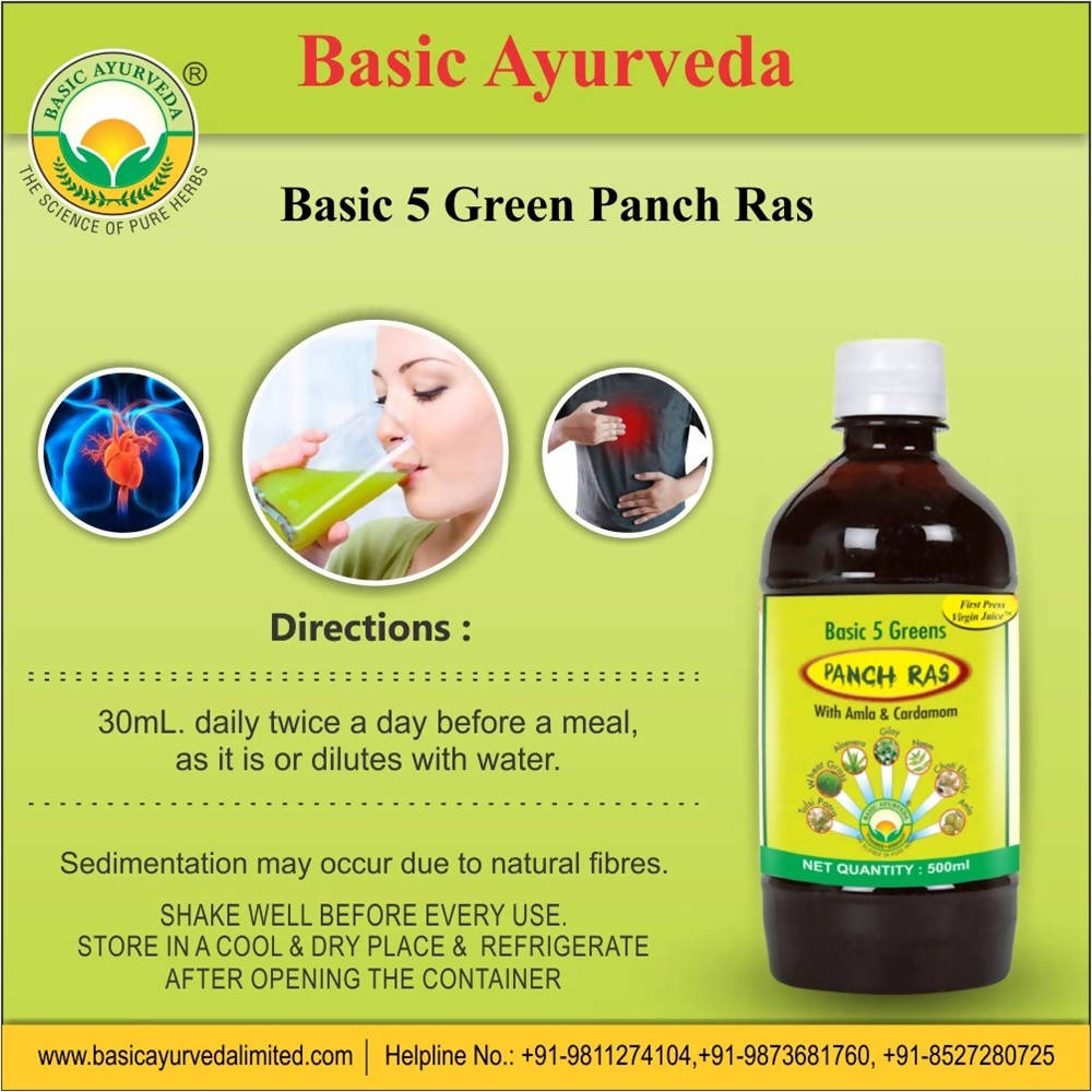 Basic Ayurveda Basic 5 Green Panch Ras - 500 ml image 2