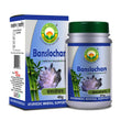 Basic Ayurveda Banshlochan - 40 gms image 1