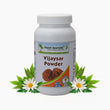 Planet Ayurveda Vijaysar Herbal Powder – 100g image 1