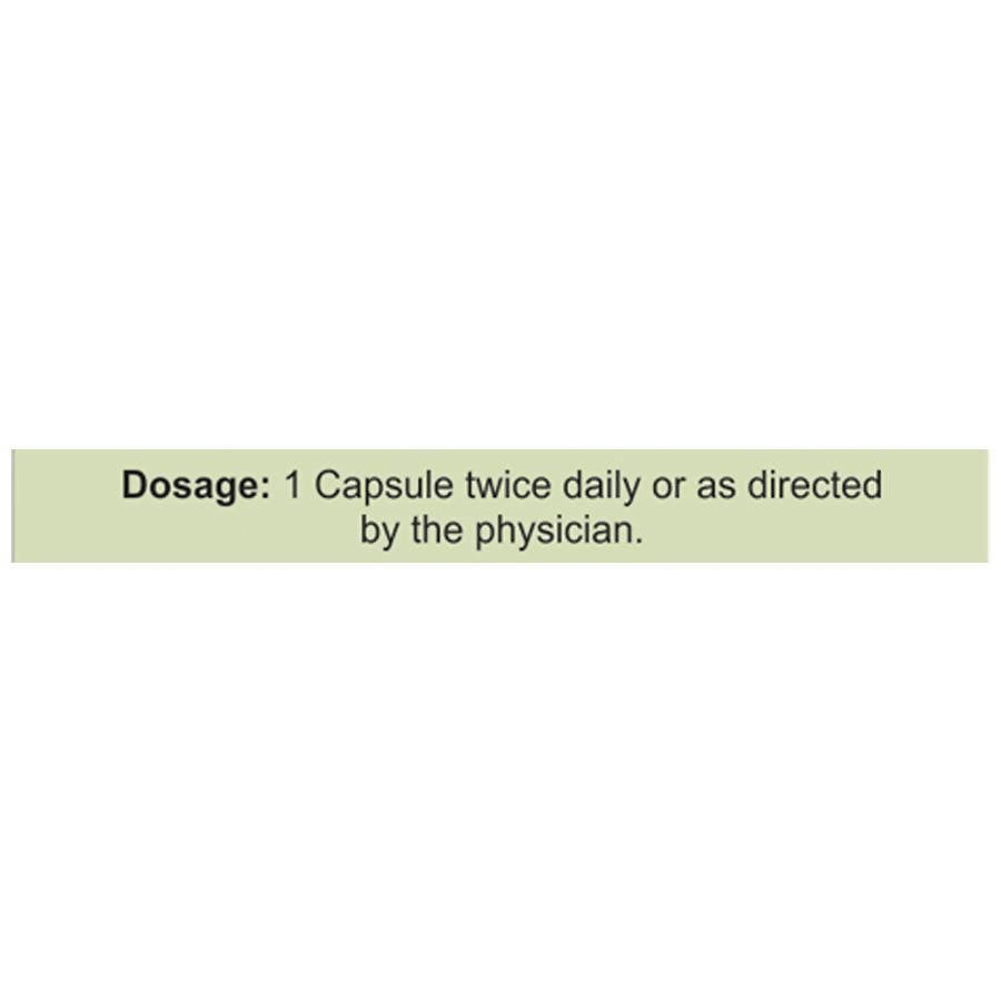 Basic Ayurveda Giloy Power Capsules - 40 Tablets image 4
