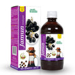Basic Ayurveda Jamun Vinegar - 450 ml image 1