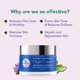 The Moms Co Natural Age Control Night Cream image 3