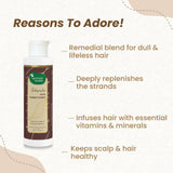Mother Sparsh Jabapushp Hair Conditioner - 200 ml image 2